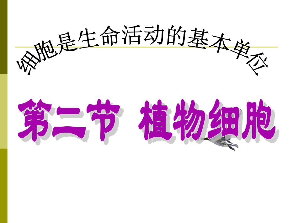 植物细胞PPT_第1页