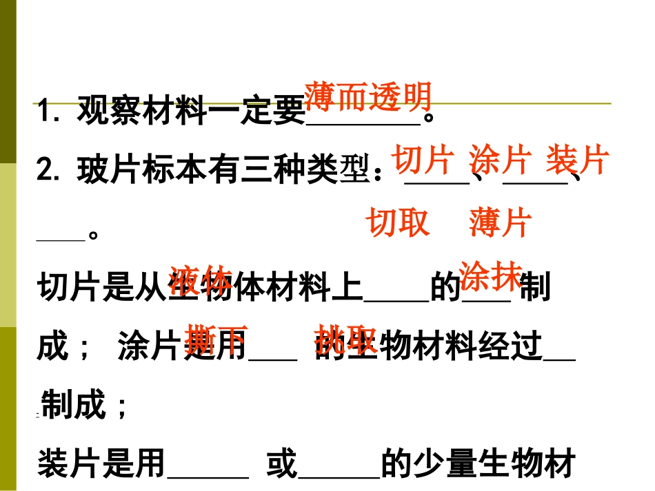 植物细胞PPT_第3页