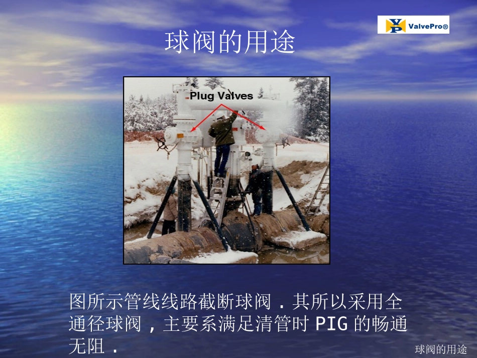 球阀 结构 (Ball Valve)_第2页