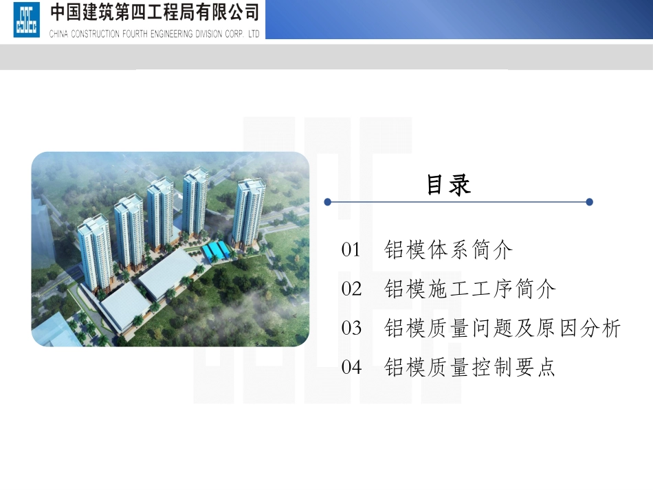 铝模体系及质量控制_第2页