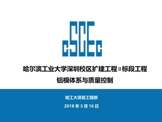 铝模体系及质量控制