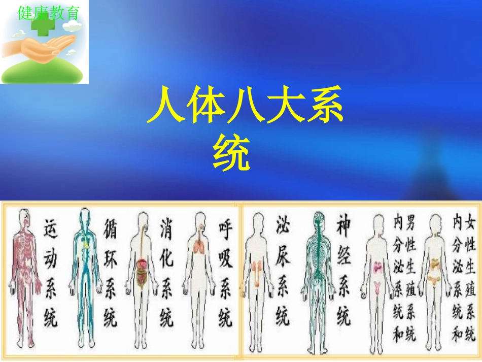 人体八大系统_第1页