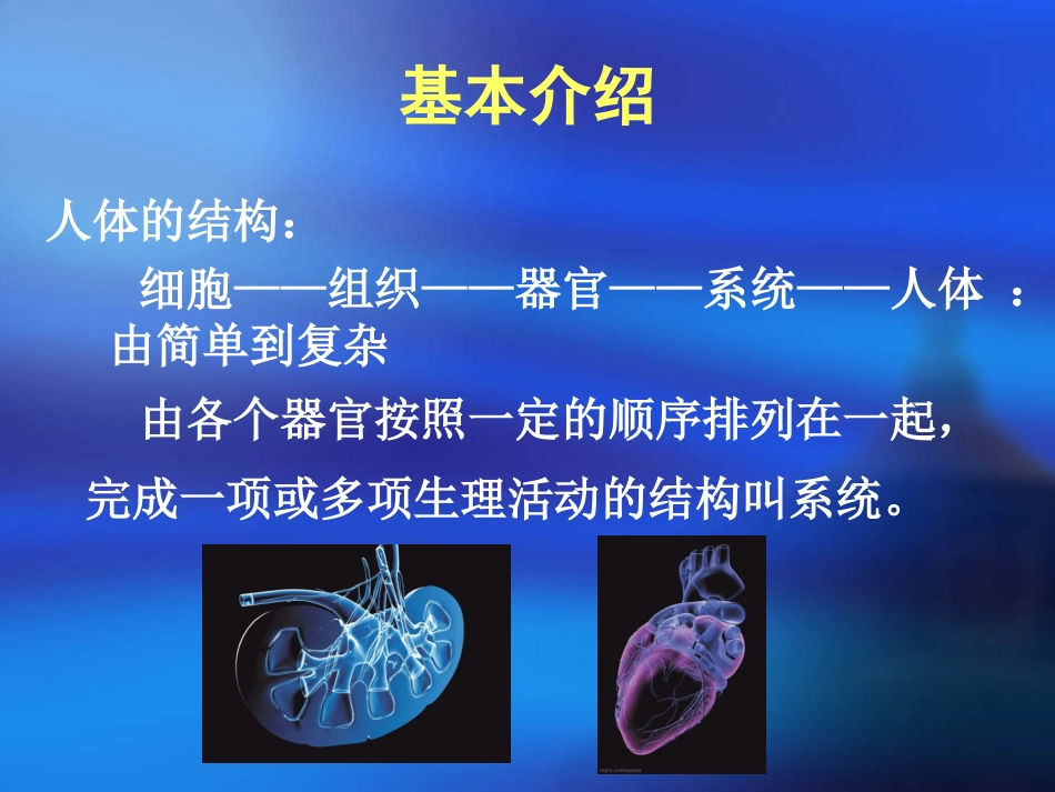 人体八大系统_第3页