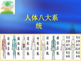 人体八大系统