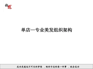 美发店单店组织架构