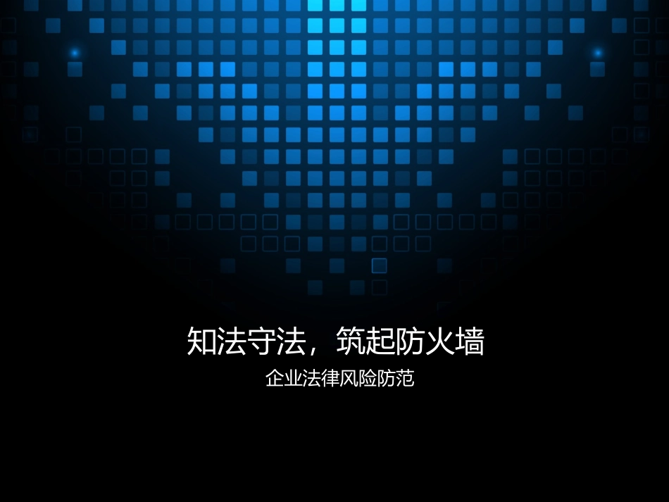 企业法律风险防范培训2015(陆逊律师)_第1页