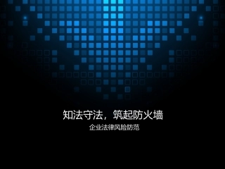 企业法律风险防范培训2015(陆逊律师)