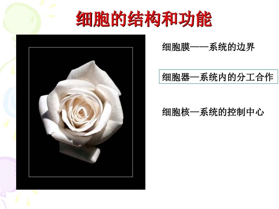 复习-细胞的结构和功能ppt_第1页