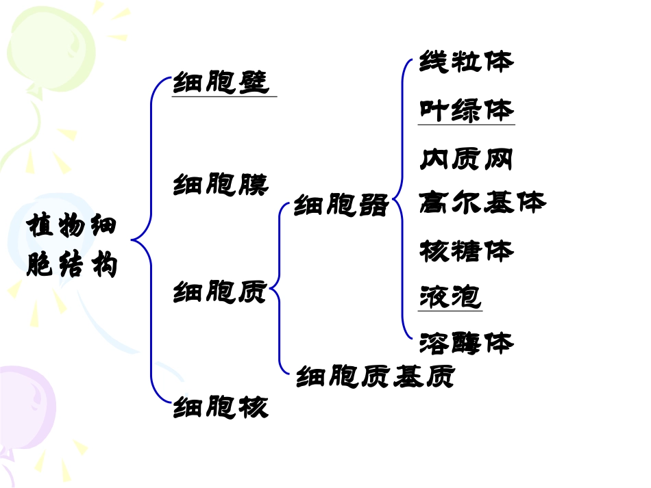 复习-细胞的结构和功能ppt_第3页