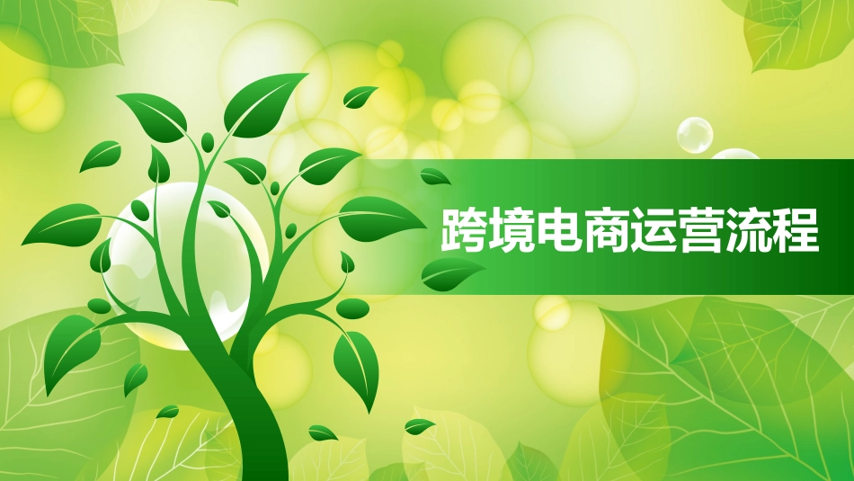 最新跨境电商流程_第1页