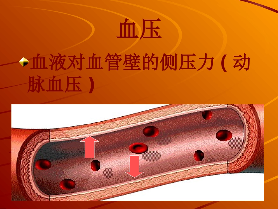 高血压健康指导(杨向平)_第2页