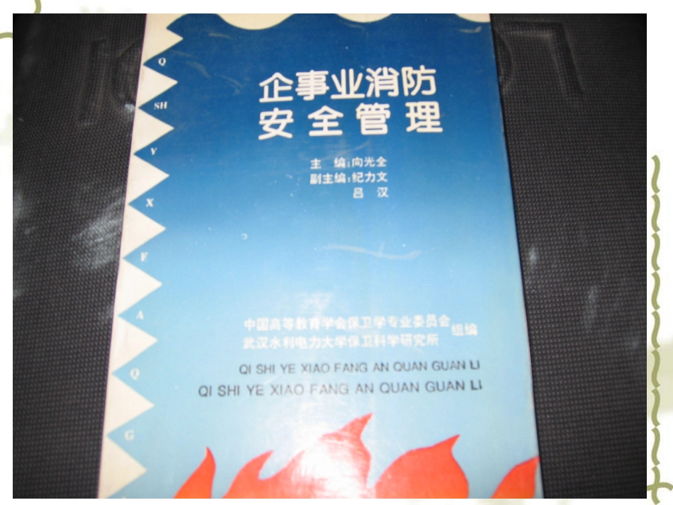 现代企业安全管理(2010)_第3页