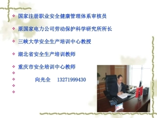 现代企业安全管理(2010)