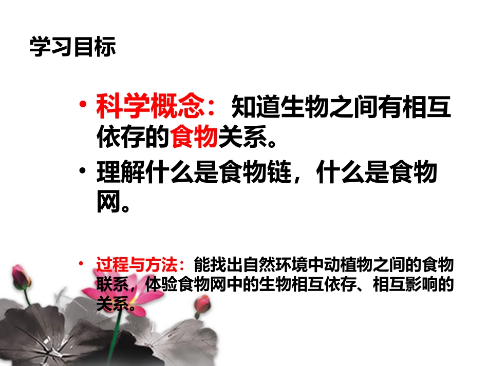 食物链和食物网_第3页