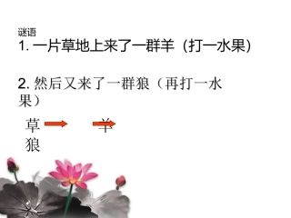 食物链和食物网