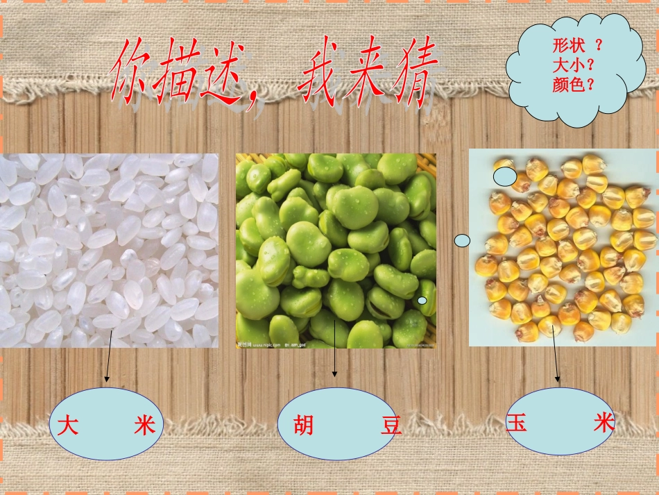 植物籽粒拼图 2_第2页