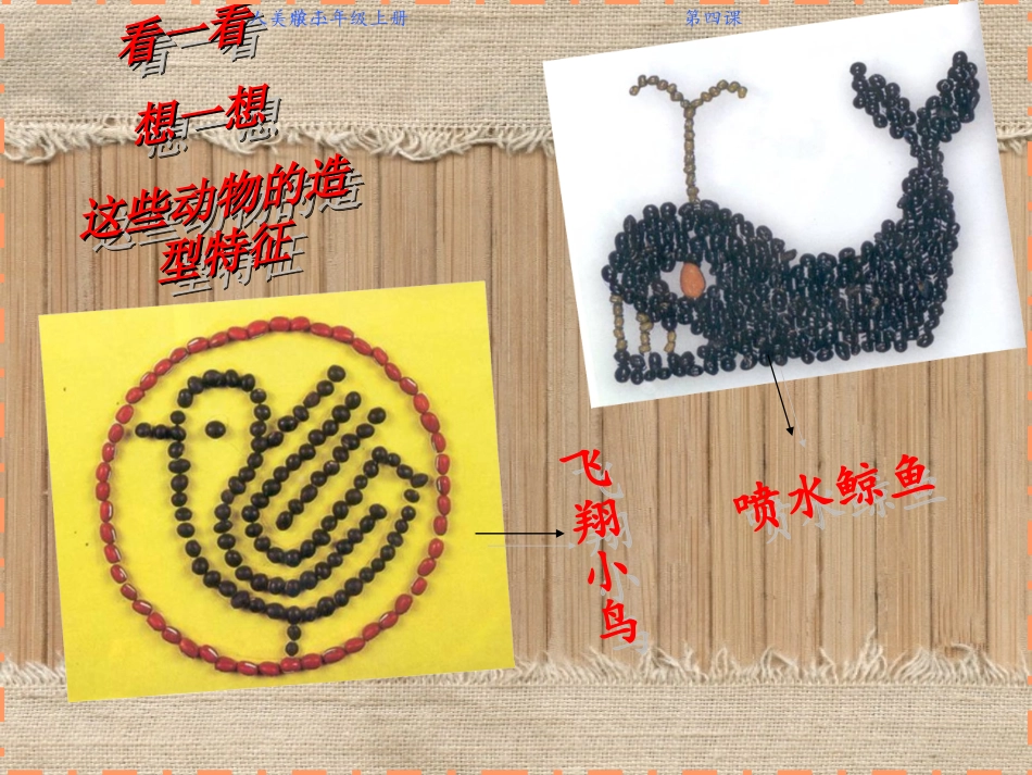 植物籽粒拼图 2_第3页