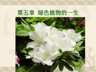 植物种子的萌发