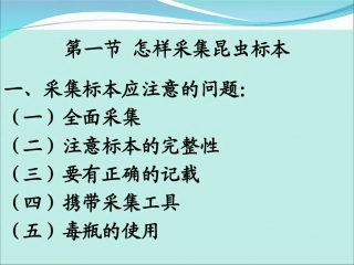 昆虫标本采集制作