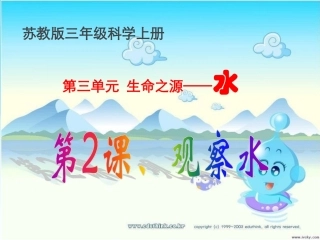 苏教版三年级科学上册《观察水》