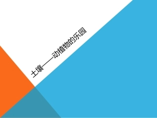 土壤—动植物的乐园