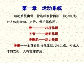 运动系统-骨学PPT