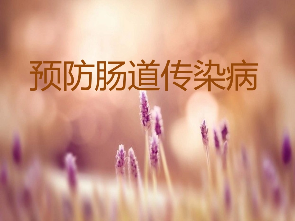 预防肠道疾病主题班会PPT_第1页