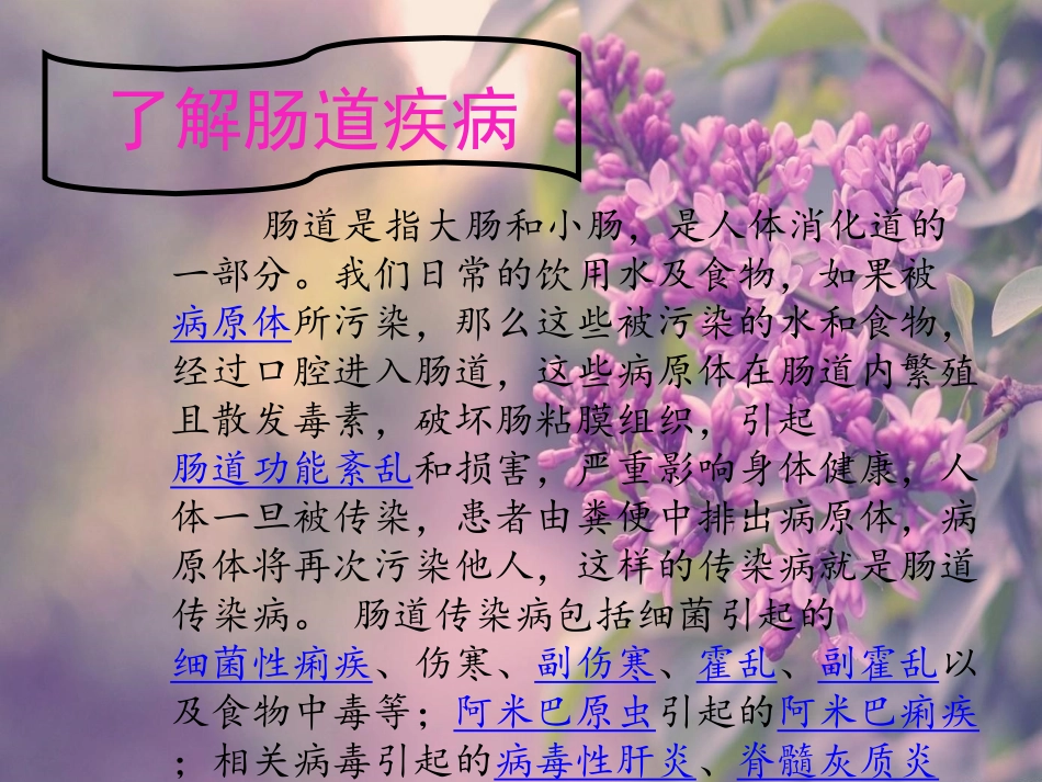 预防肠道疾病主题班会PPT_第2页