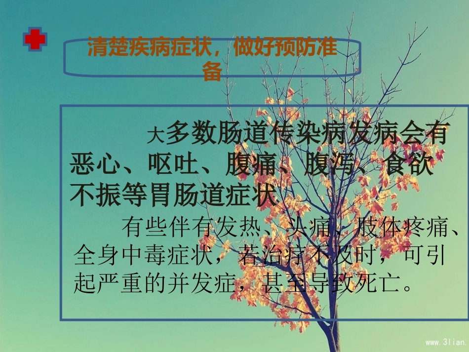 预防肠道疾病主题班会PPT_第3页