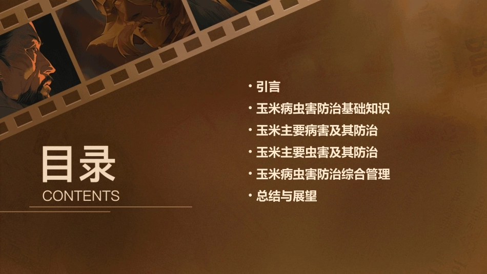 玉米病虫害防治教学课件_第2页