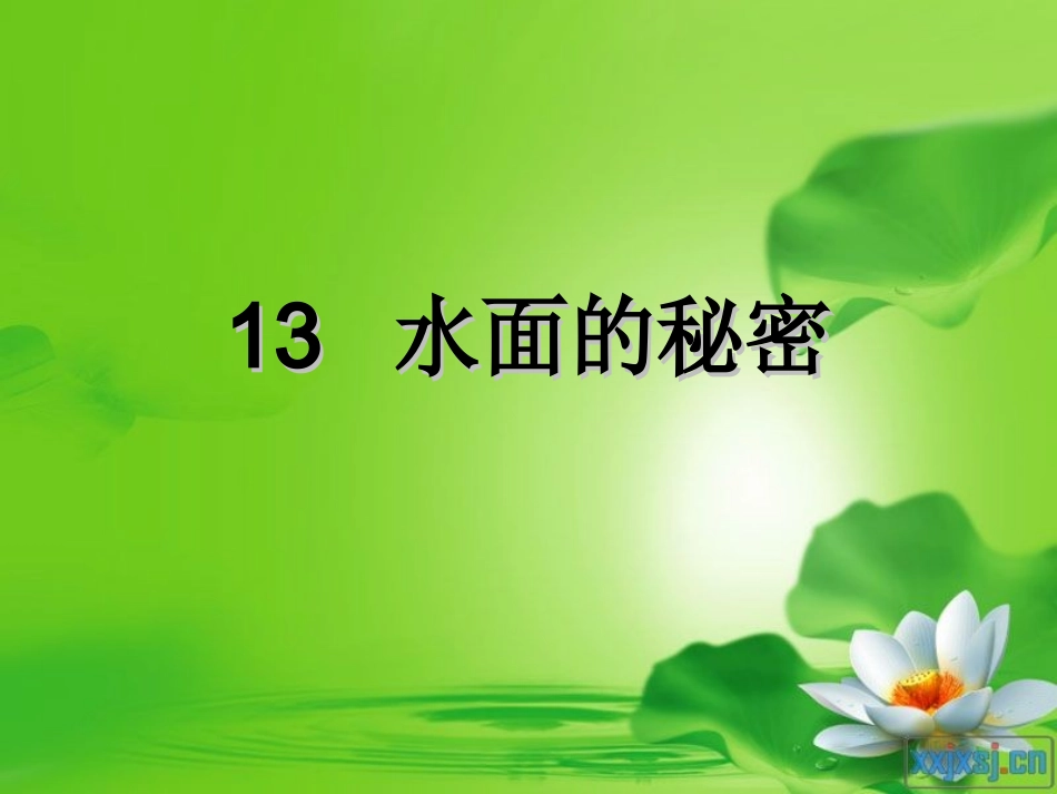 科学--水面的秘密_第1页