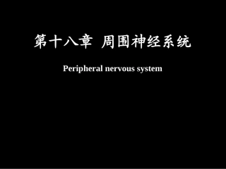 脊神经解剖图