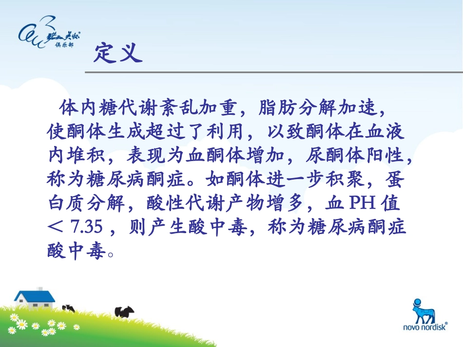 糖尿病酮症护理查房_第2页