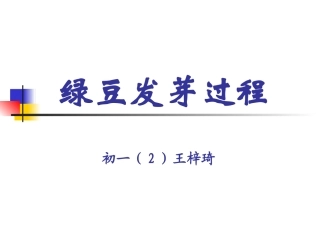 绿豆发芽过程
