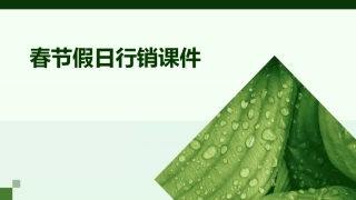 春节假日行销课件
