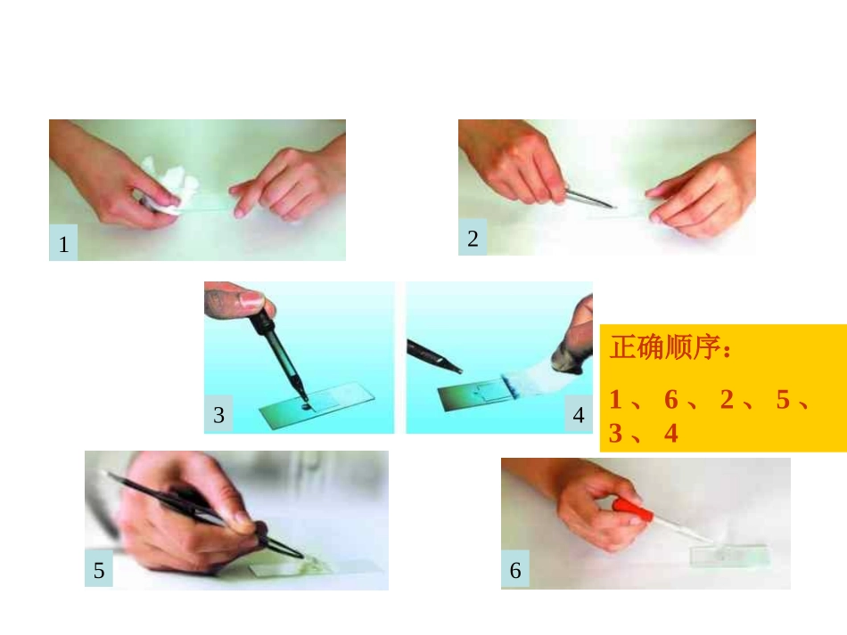 怎样制作洋葱表皮细胞临时装片？_第1页