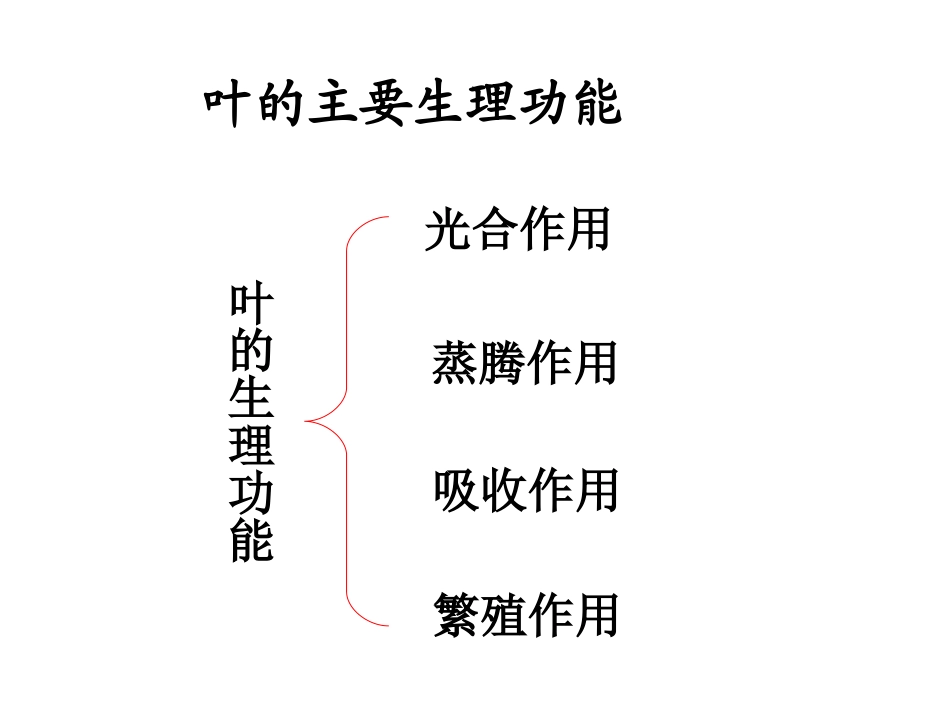 植物形态结构(叶)_第2页