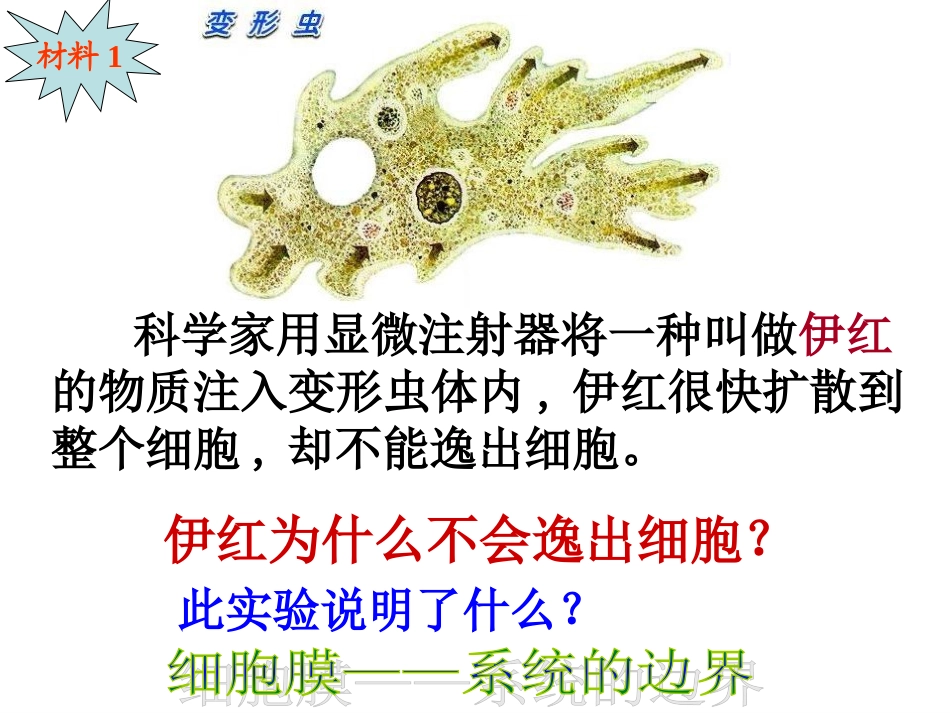 细胞膜系统的边界_第2页