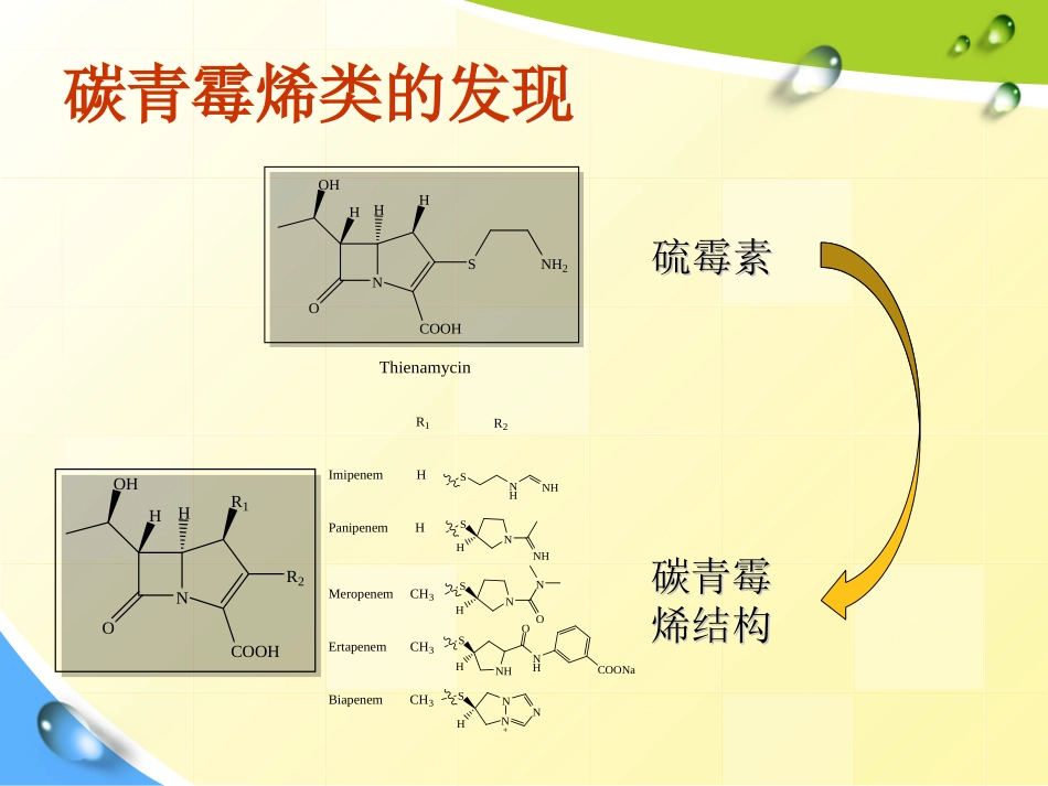 碳青霉烯类抗生素_第3页