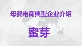 母婴电商典型企业介绍(尹宝玲 杜慧娴 刘淑艳)