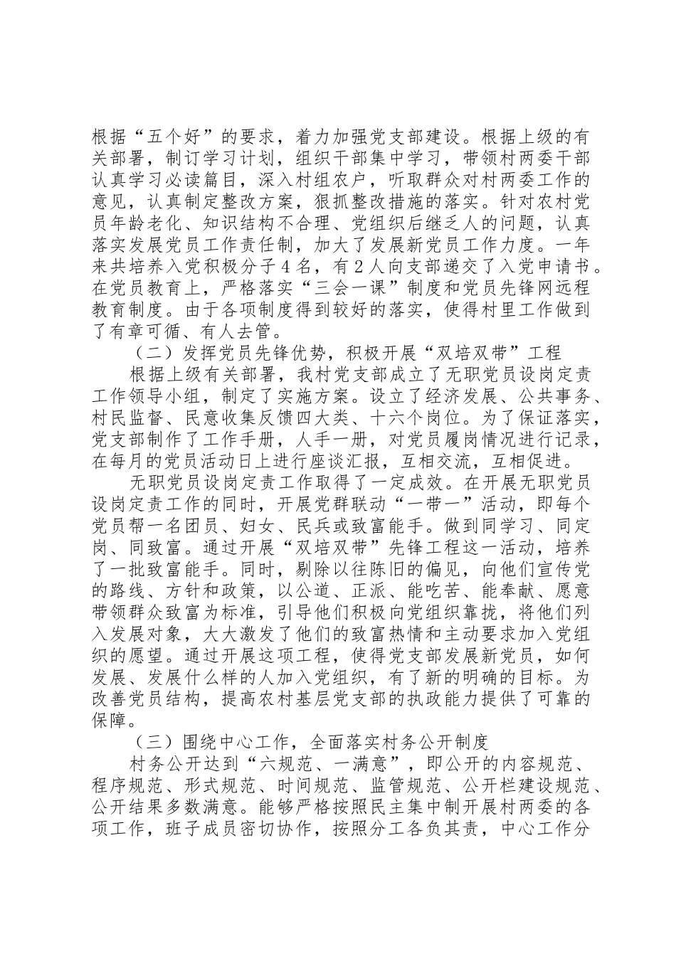 XX村第一书记述职报告_第2页