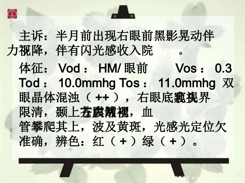 教学查房(视网膜脱离)_第3页