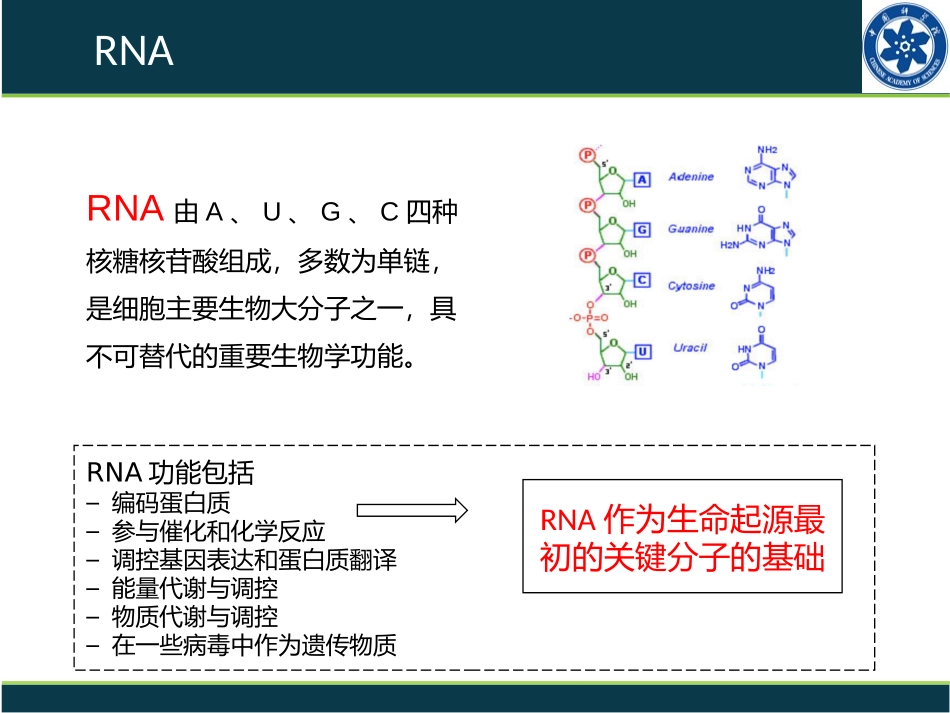 生命组学—RNA_第3页