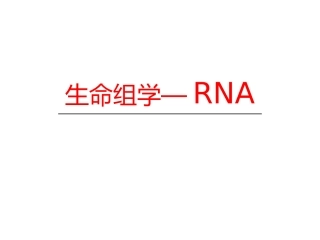 生命组学—RNA