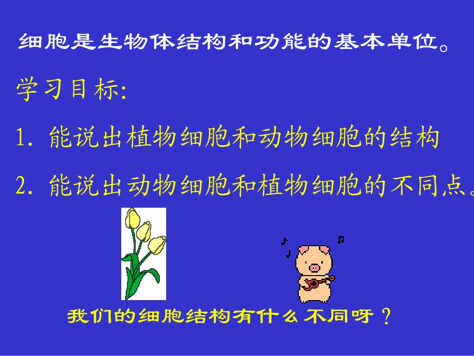 细胞的结构和功能ppt_第2页