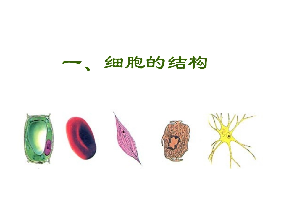 细胞的结构和功能ppt_第3页