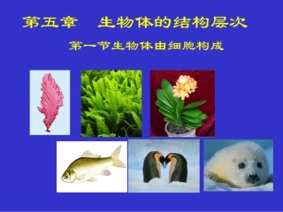 细胞的结构和功能ppt