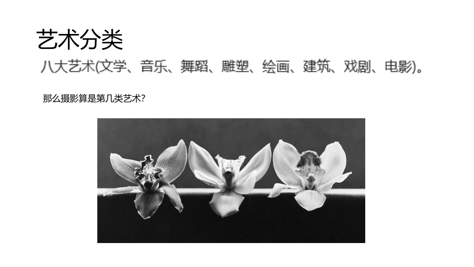 摄影艺术及其分类_第2页