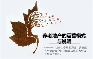 养老地产的运营模式与说明