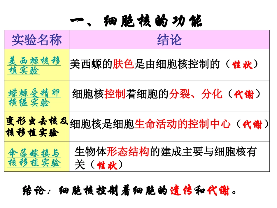 细胞核系统的控制中心_第3页